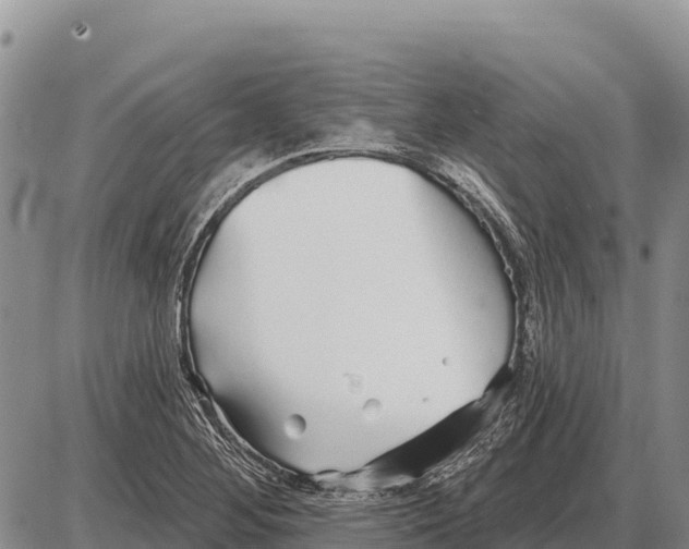 X0000086301268200704271818