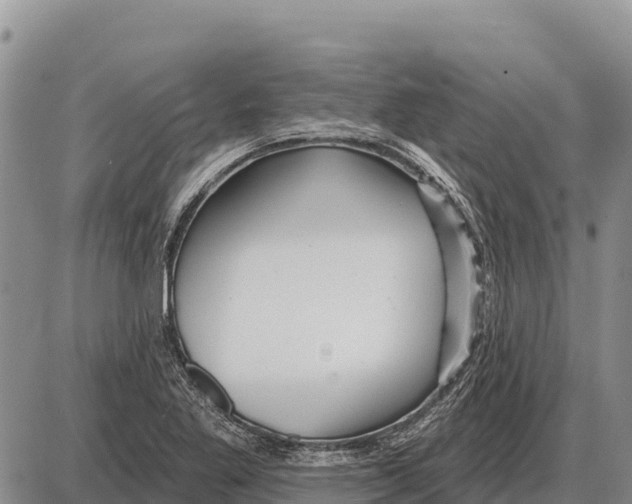 X0000086301269200704271818