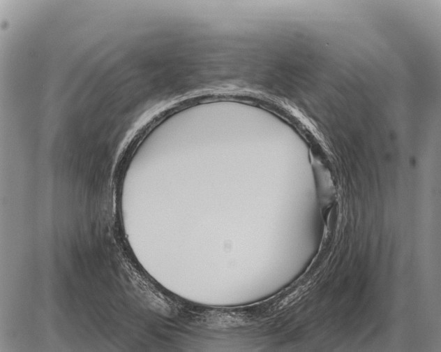 X0000086301270200704271818