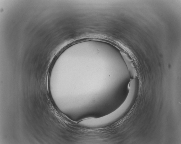 X0000086301272200704271818