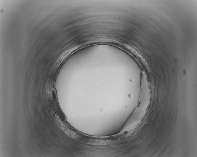 X0000086301273200704271818