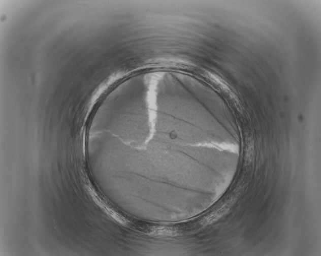 X0000086301275200704271818