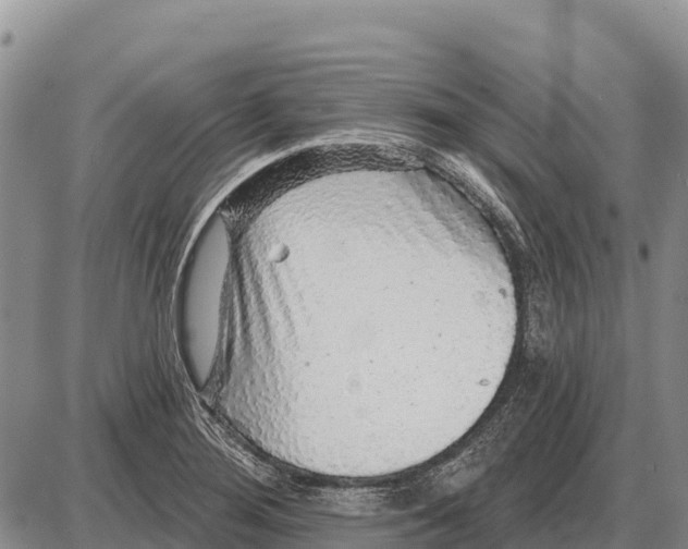 X0000086301276200704271818