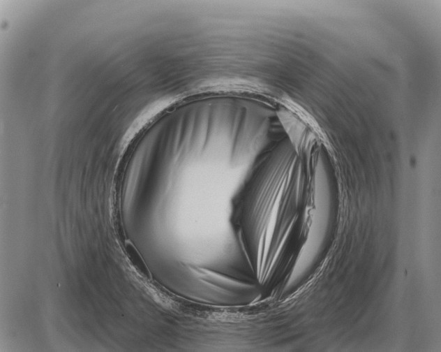 X0000086301277200704271818