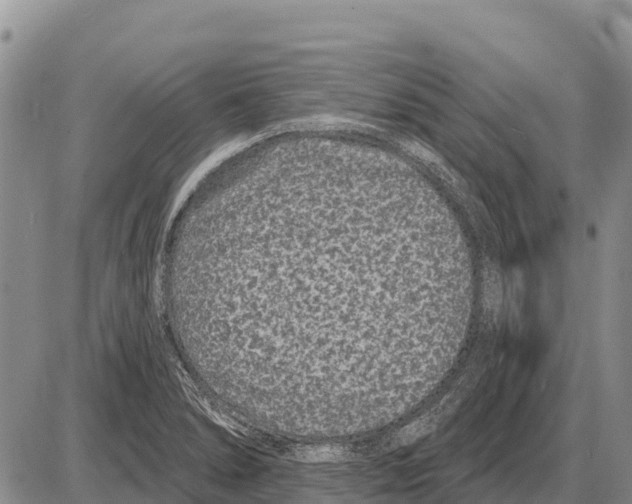 X0000086301278200704271818