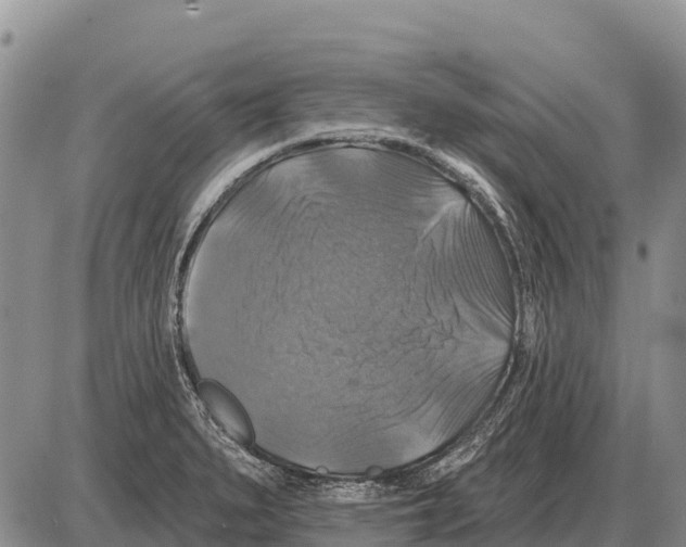 X0000086301279200704271818