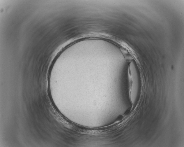 X0000086301280200704271818