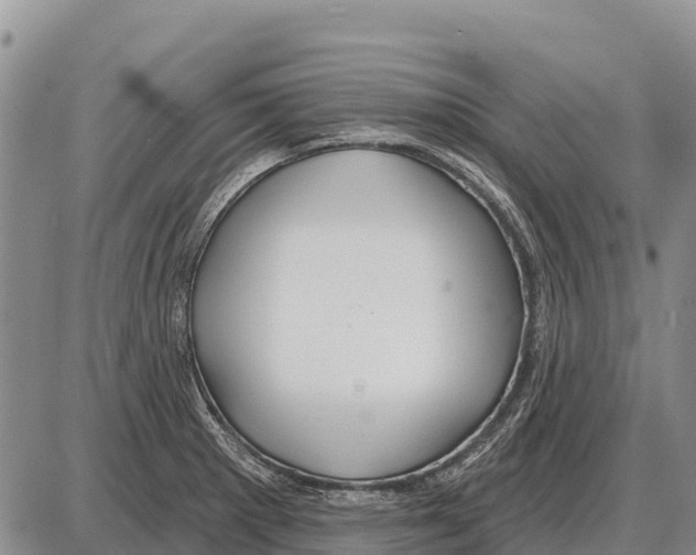 X0000086301281200704271818