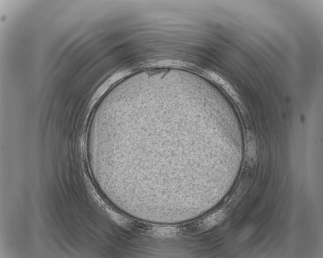 X0000086301282200704271818