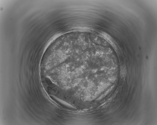 X0000086301283200704271818