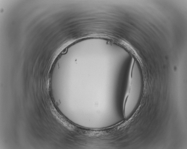 X0000086301284200704271818