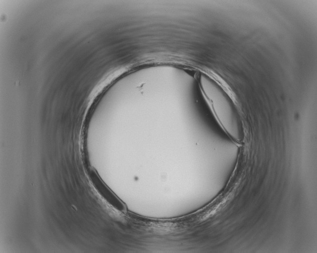 X0000086301285200704271818