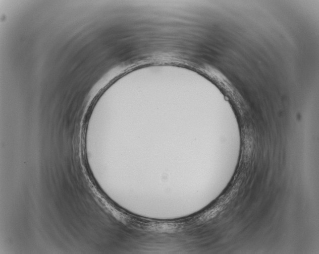 X0000086301286200704271818