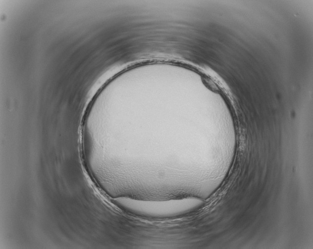 X0000086301287200704271818