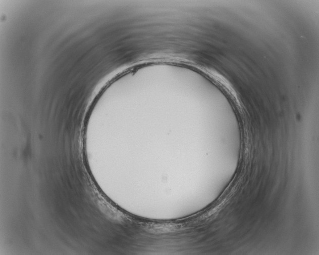 X0000086301288200704271818