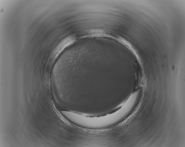 X0000086301289200704271818