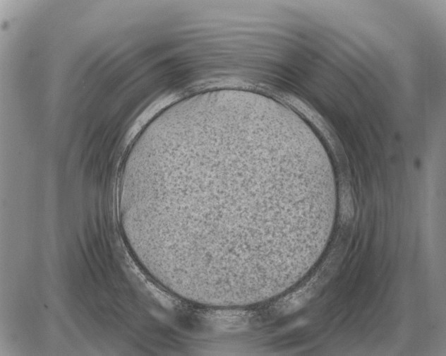 X0000086301290200704271818