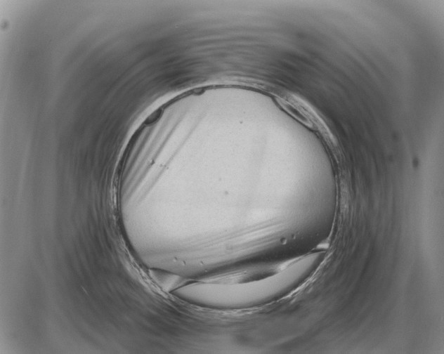 X0000086301292200704271818