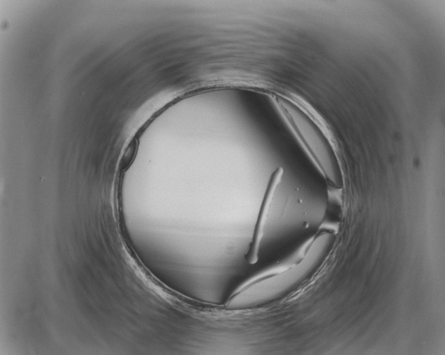 X0000086301293200704271818