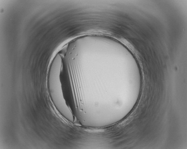 X0000086301296200704271817