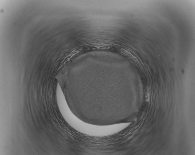 X0000086301298200704271817