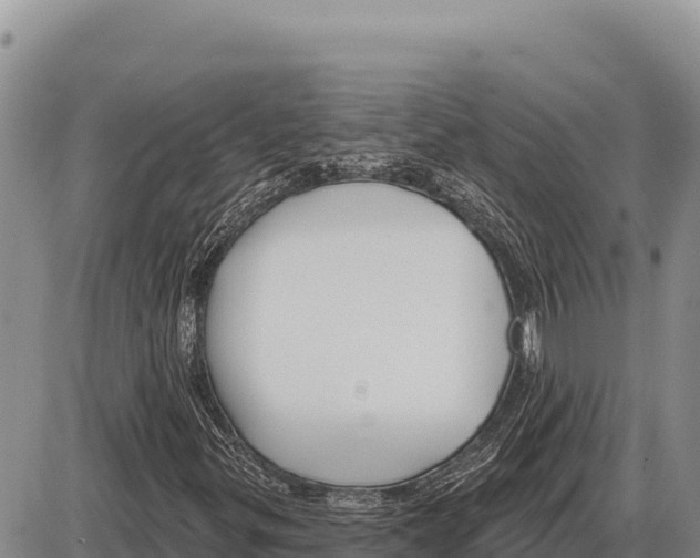 X0000086301299200704271817