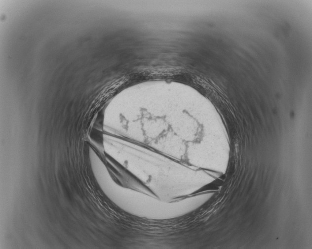 X0000086301300200704271817