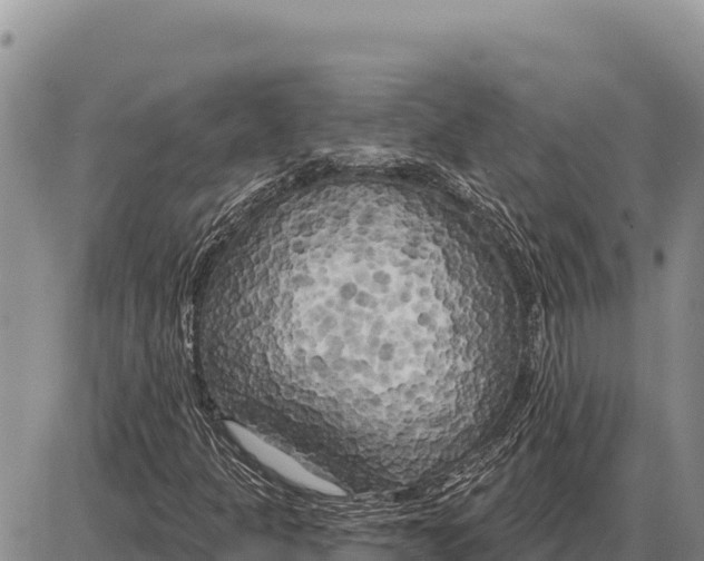 X0000086301301200704271817