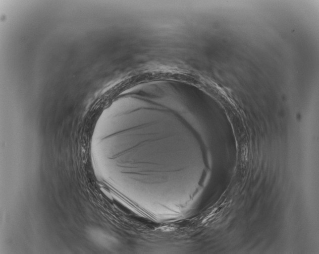 X0000086301303200704271817