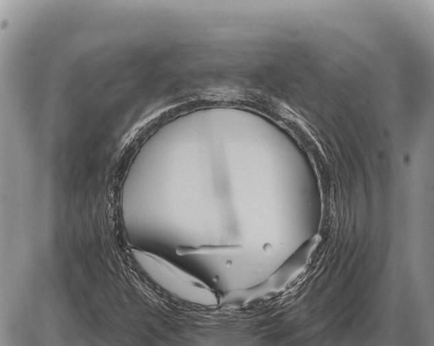 X0000086301304200704271817