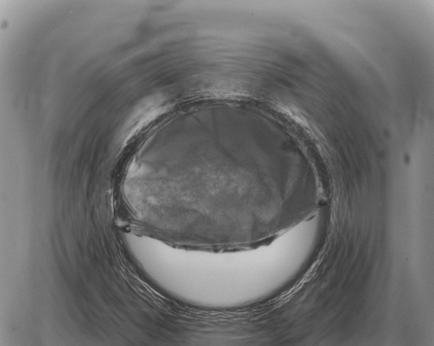 X0000086301306200704271817