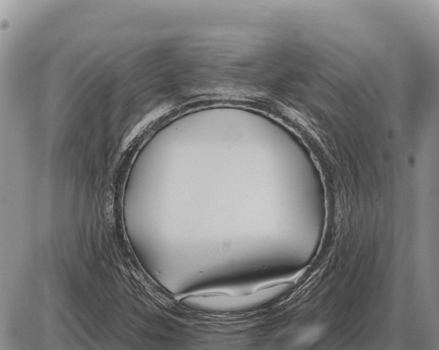 X0000086301307200704271817