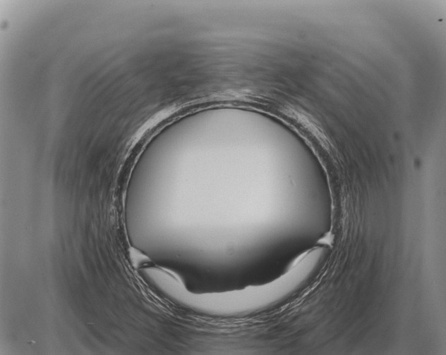 X0000086301308200704271817