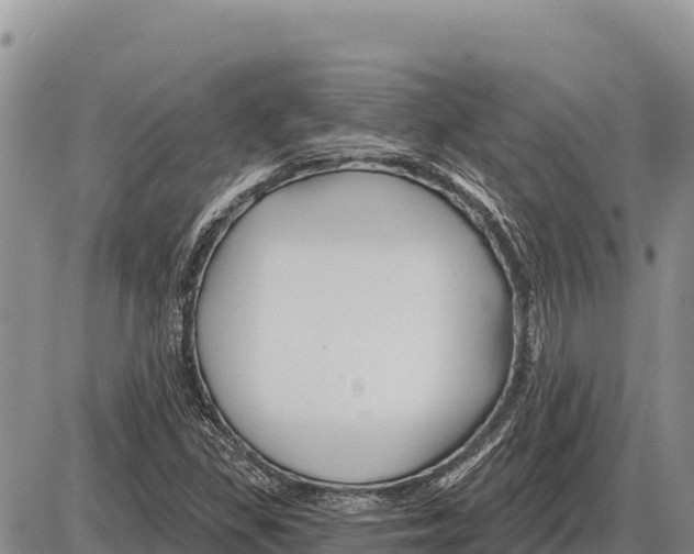 X0000086301309200704271817