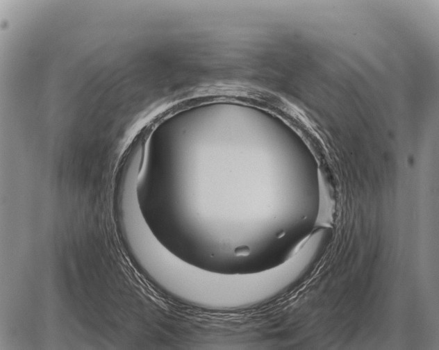 X0000086301312200704271817