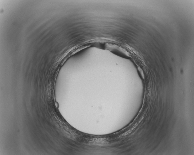 X0000086301313200704271817