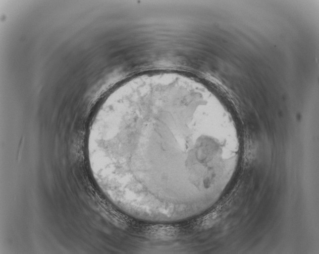 X0000086301314200704271817