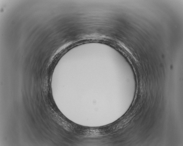 X0000086301315200704271817