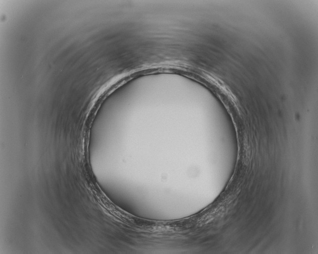 X0000086301316200704271817