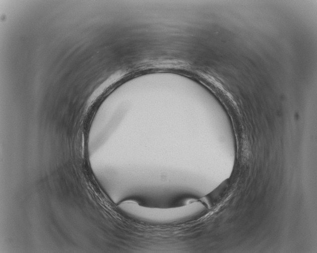 X0000086301317200704271817