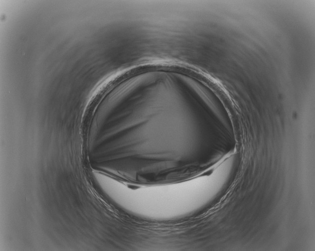 X0000086301319200704271817