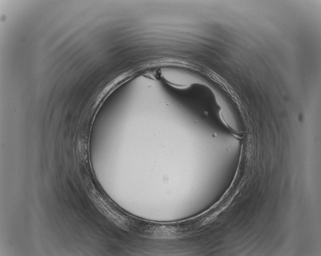 X0000086301321200704271817