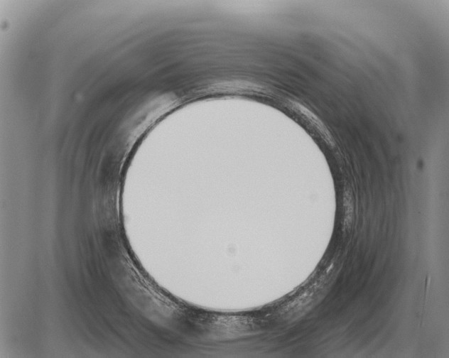 X0000086301322200704271817