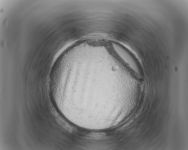 X0000086301325200704271817