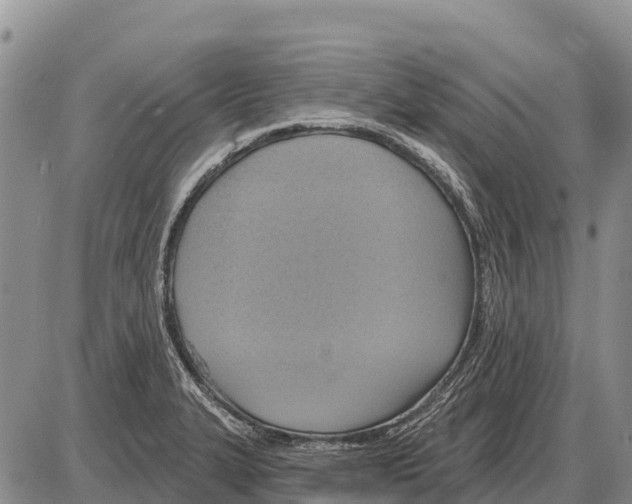 X0000086301327200704271817