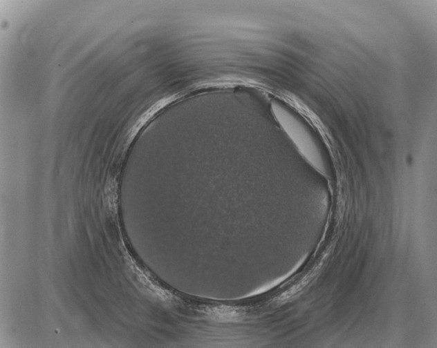 X0000086301329200704271817