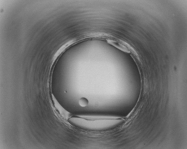 X0000086301330200704271817