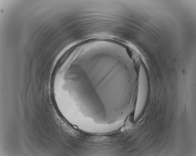 X0000086301331200704271817