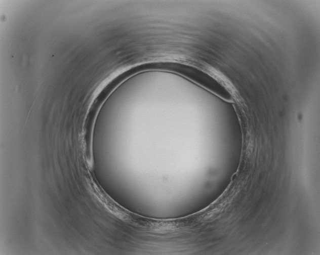 X0000086301332200704271817