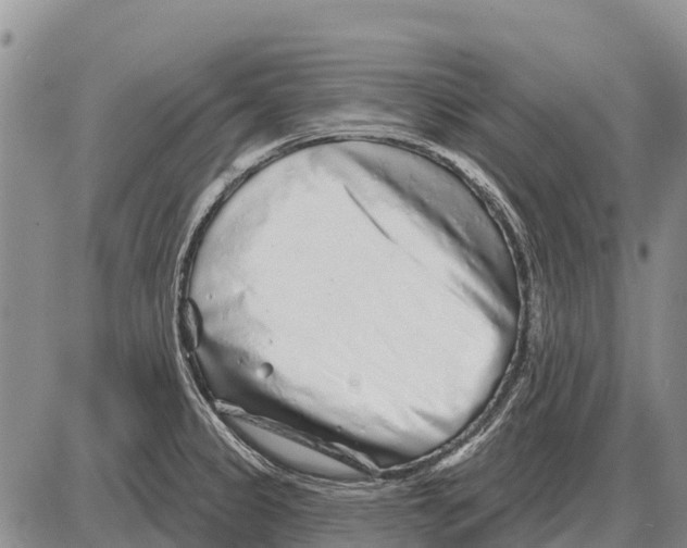 X0000086301333200704271817